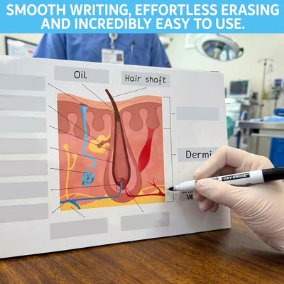 Anatomy Labeling Workbook