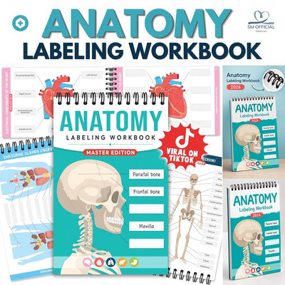 Anatomy Labeling Workbook