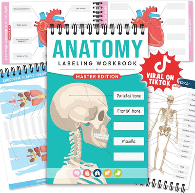 Anatomy Labeling Workbook