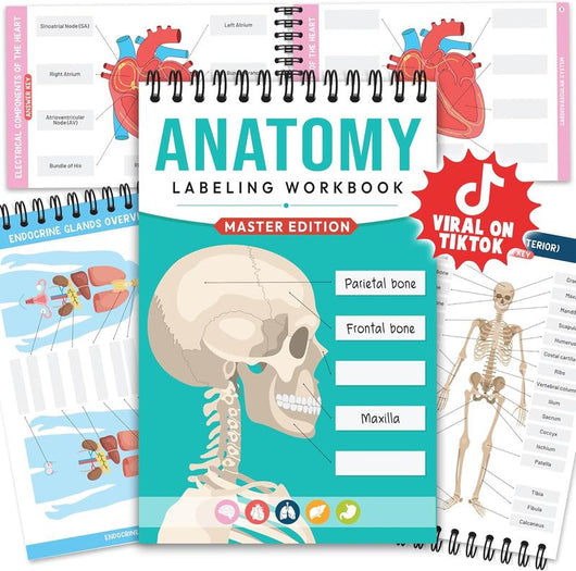 Anatomy Labeling Workbook