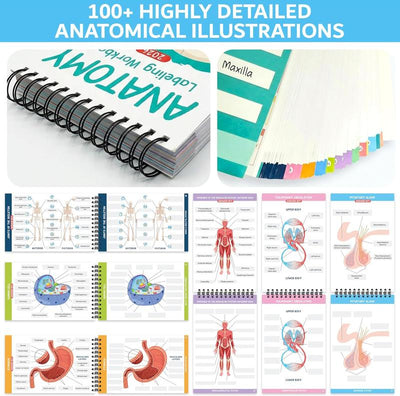 Anatomy Labeling Workbook