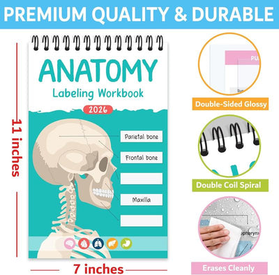 Anatomy Labeling Workbook